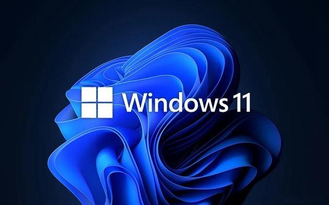 Windows 11 (中国定制版)23H2(x64)简体中文ISO系统镜像下载